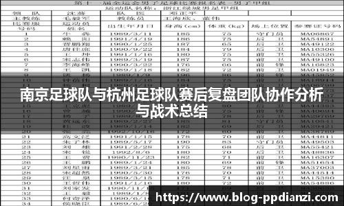 PP电子模拟器