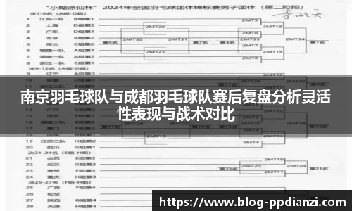 南京羽毛球队与成都羽毛球队赛后复盘分析灵活性表现与战术对比